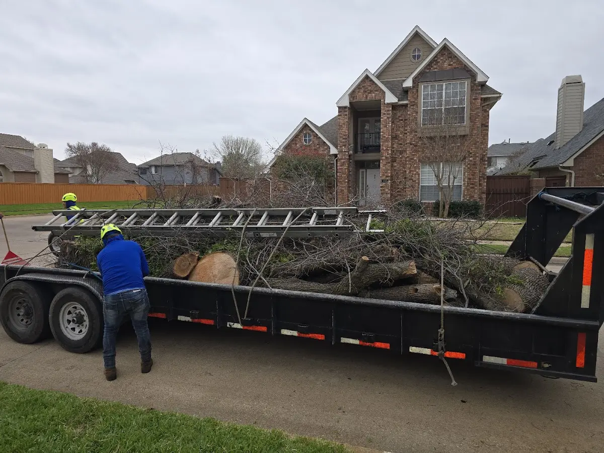 Expert Tree Fertilization with proper safety equipment in Elgin